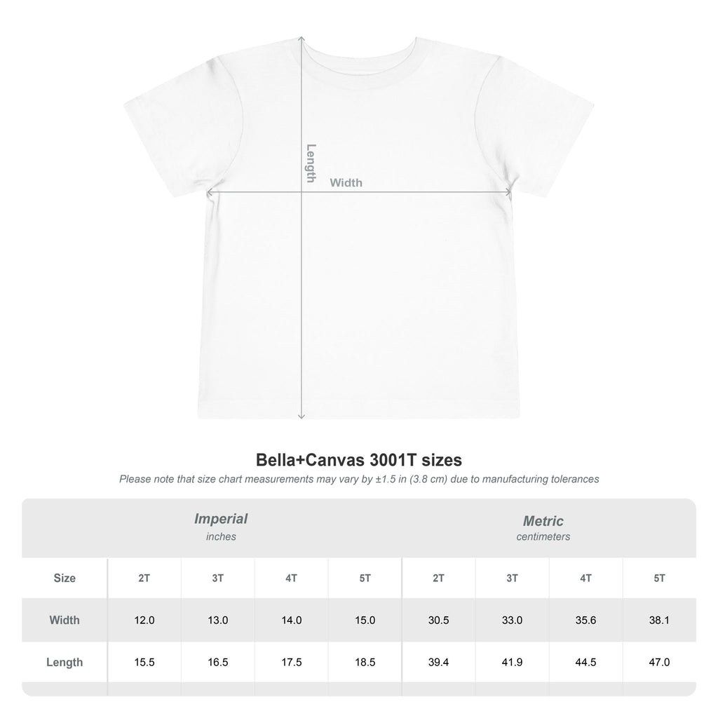 Funny 4th of July Shirt, Commanding the Chaos, Family Matching Independence Day T-Shirt