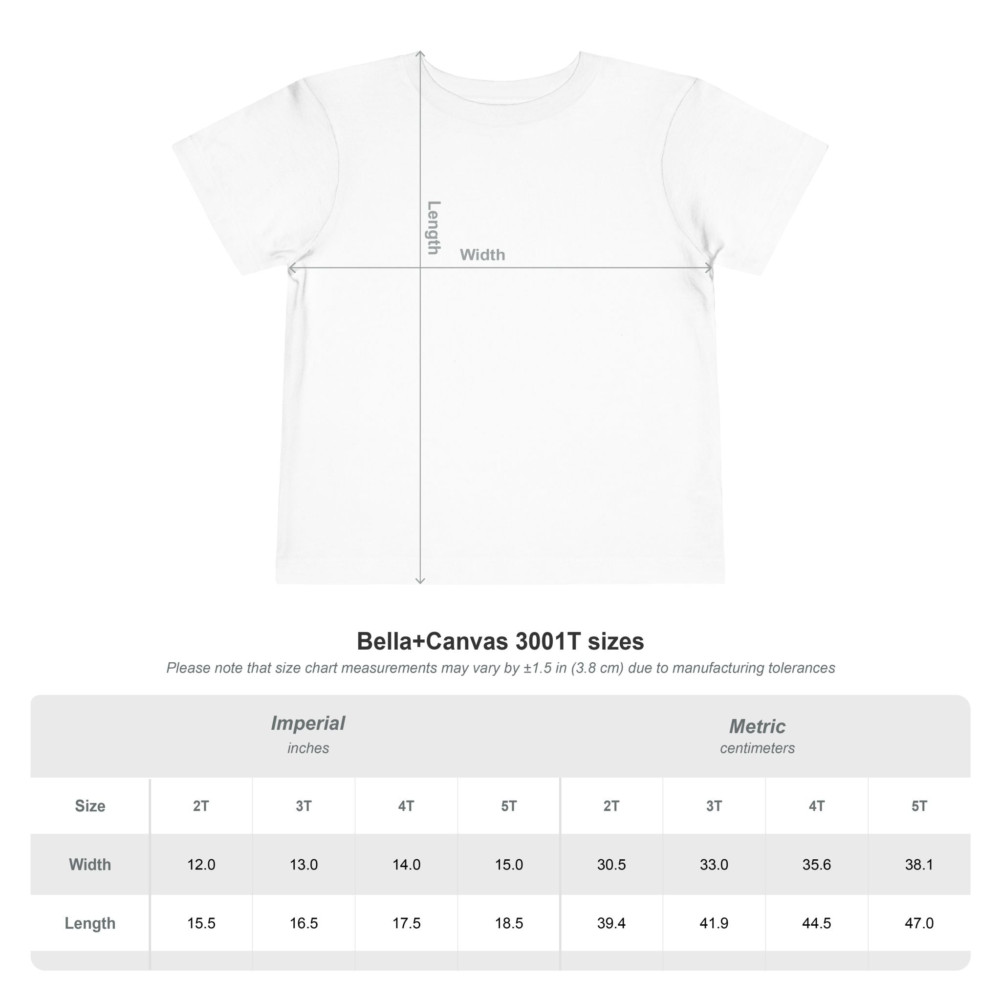 Funny 4th of July Shirt, Commanding the Chaos, Family Matching Independence Day T-Shirt