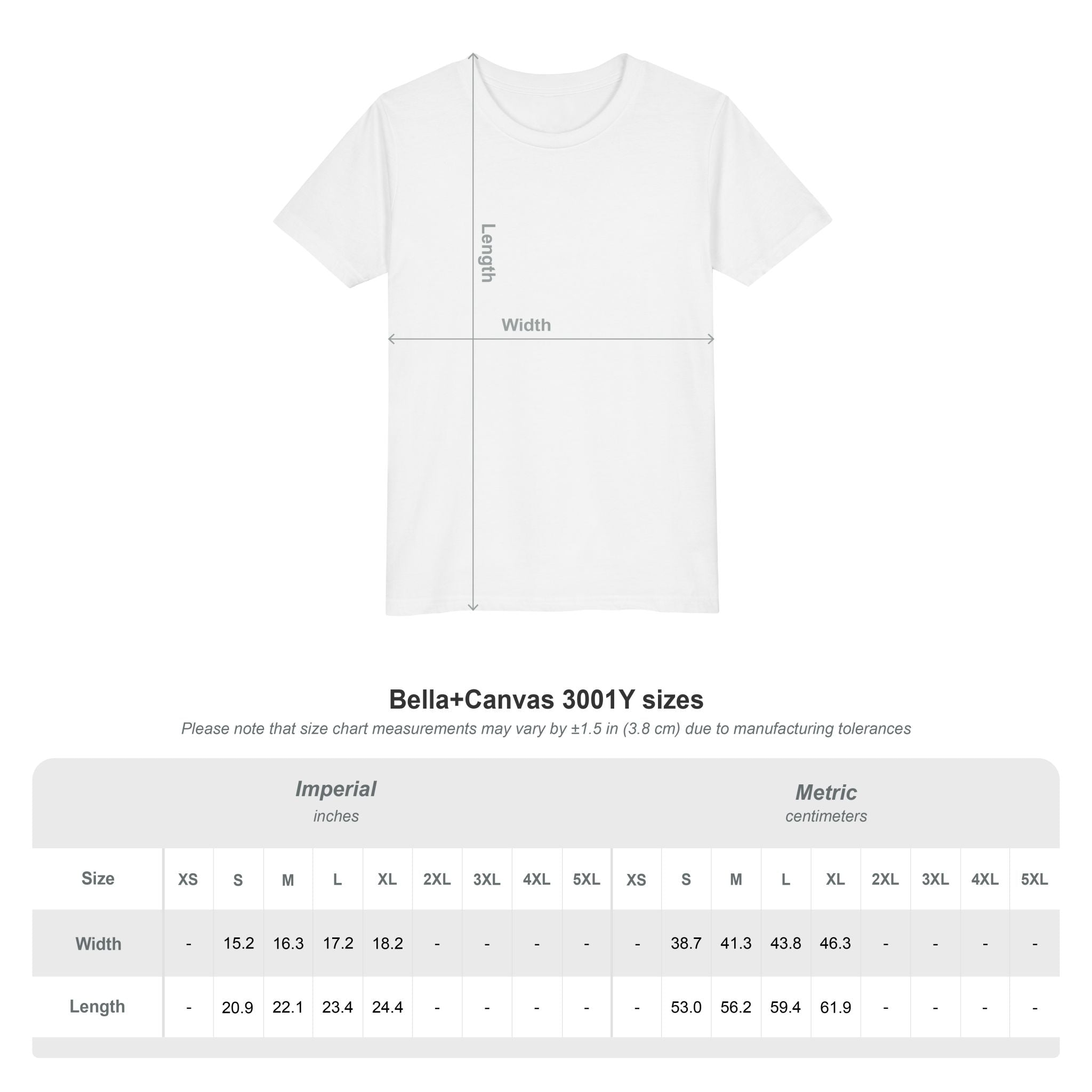 Funny 4th of July Shirt, Commanding the Fun, Family Matching Independence Day T-Shirt